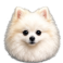 Sukat