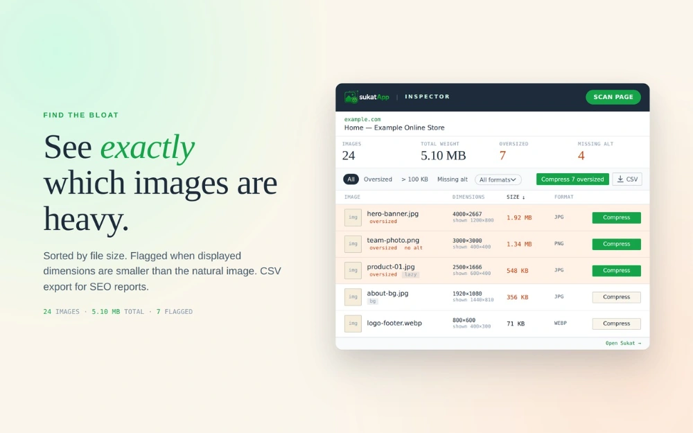 The audit popup showing oversized images flagged in pale peach, sorted by file size.